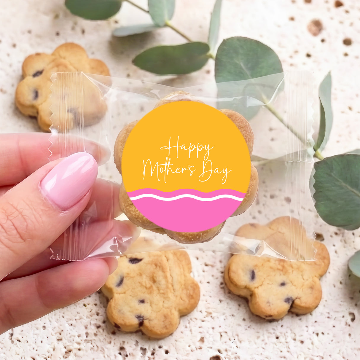 Hand holding mini chocolate chip cookie with “Happy Mother’s Day” label in clear bag