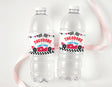 Personalised drink bottle labels with race car checkered design and name Theodore