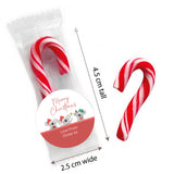 Christmas Koalas Personalised Mini Candy Canes