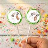 Baby shower personalised lollipops with green round label, clear wrapper, plain sticks