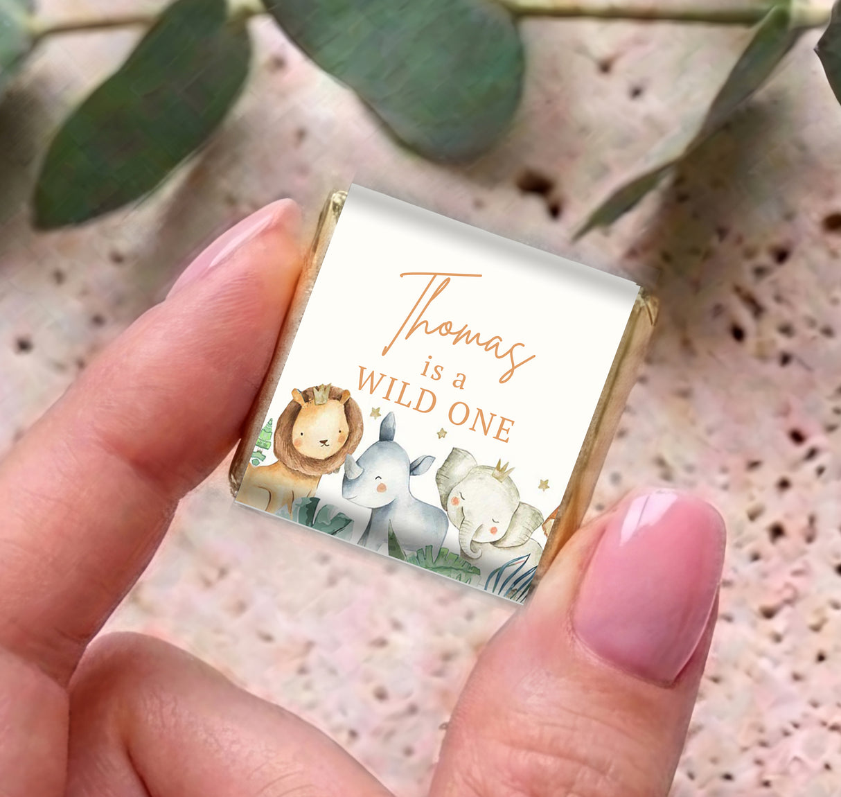Mini chocolate bar boxes with wild animal artwork and 'Wild One' message, held in hands