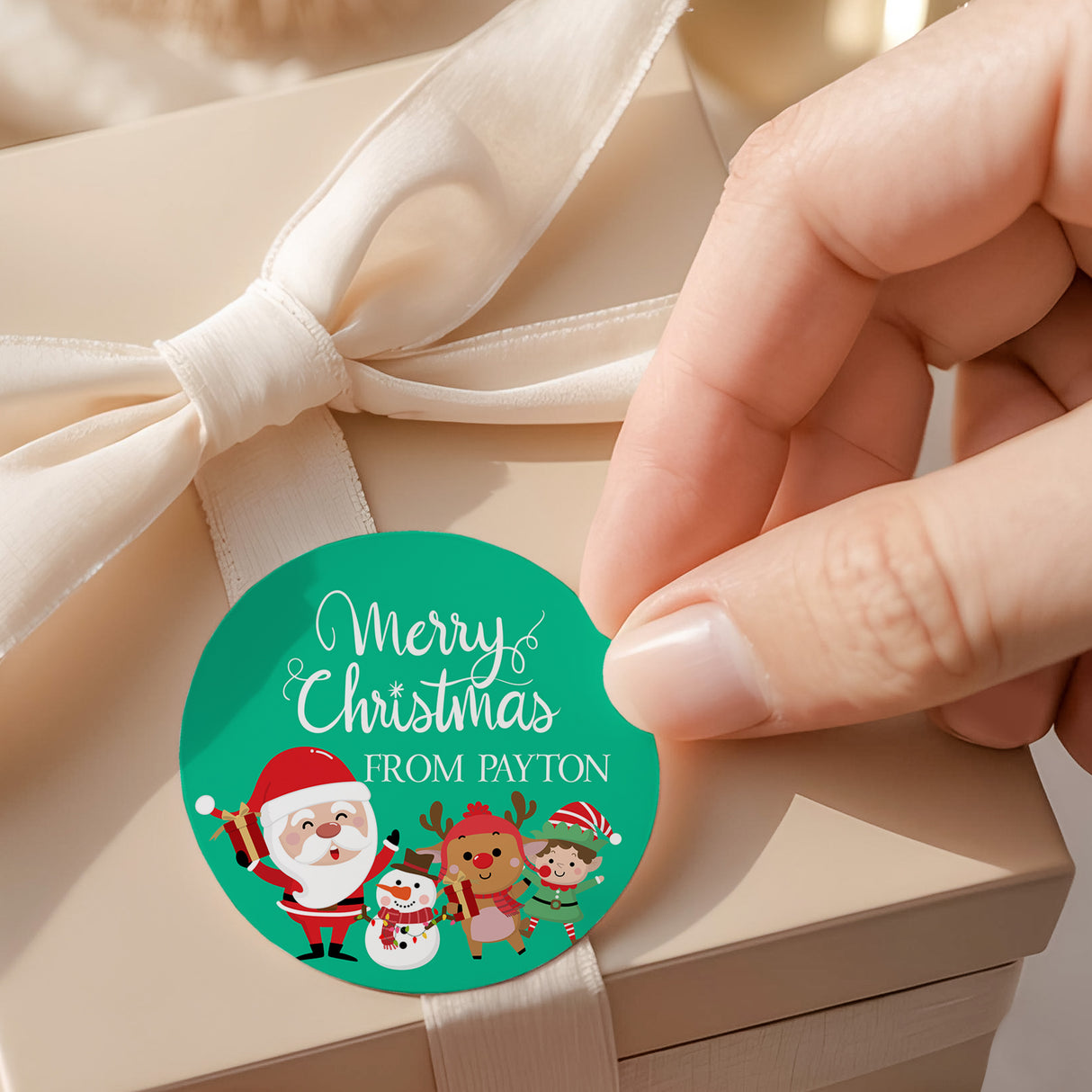 Merry Christmas Green Round Printed Labels