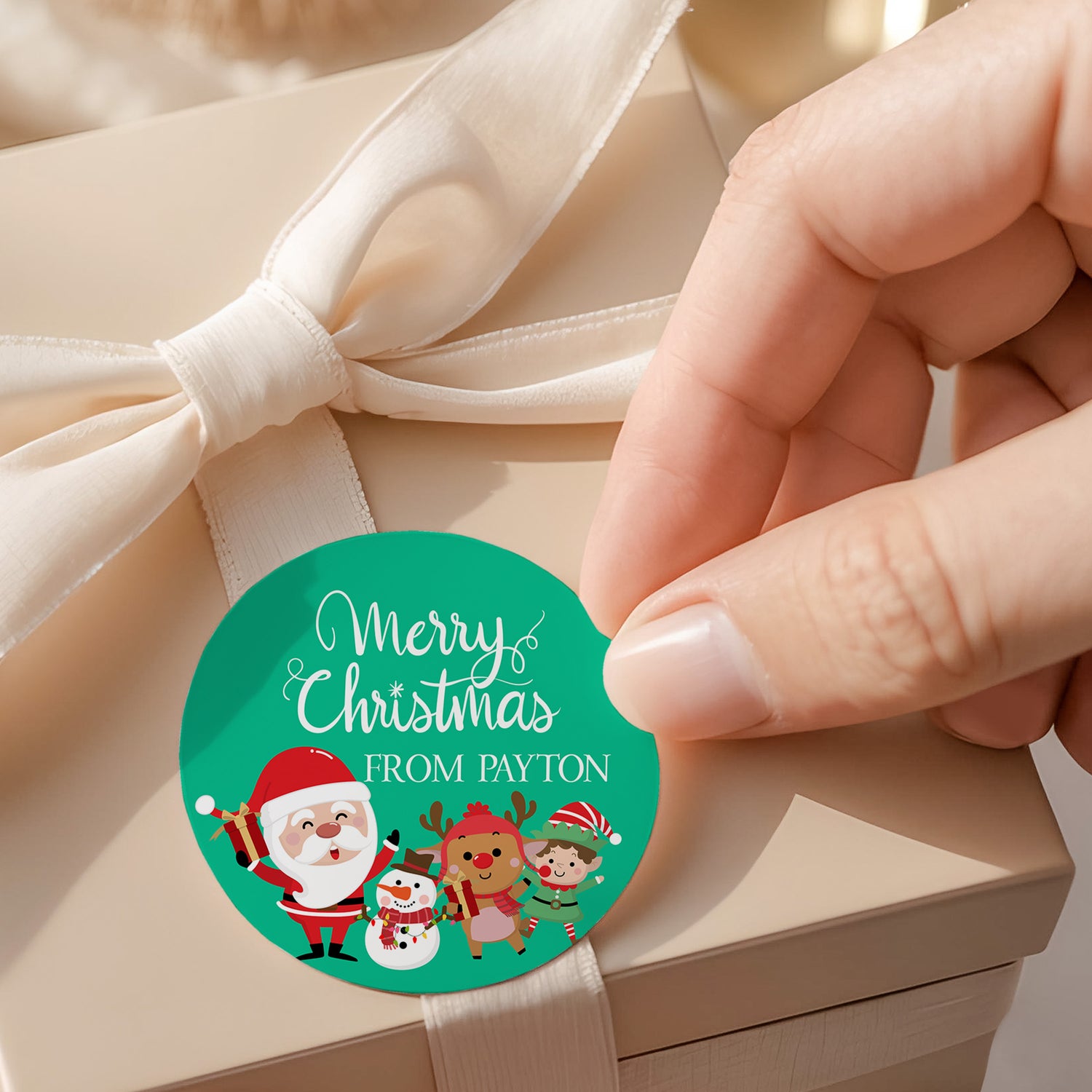 Merry Christmas Green Round Printed Labels